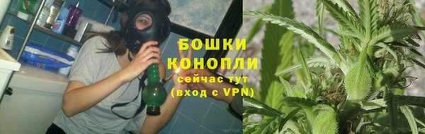 шишки Алзамай