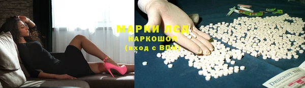 шишки Алзамай