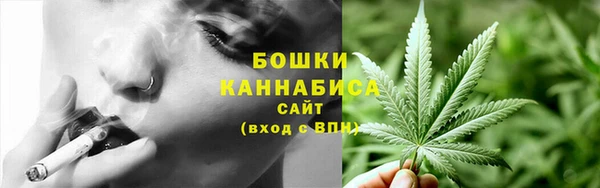 шишки Алзамай
