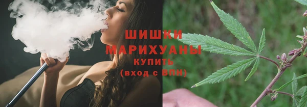 шишки Алзамай