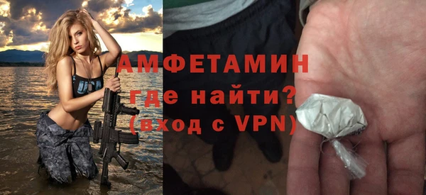 индика Каменногорск